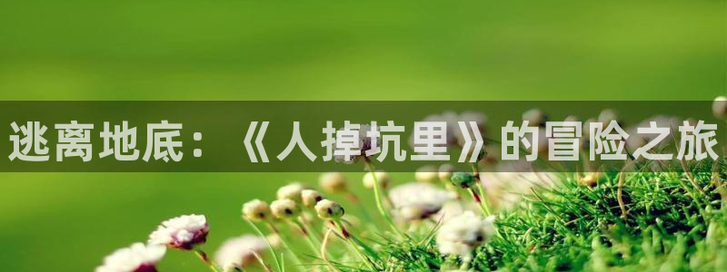 虫虫漫画资源下载：逃离地底：《人掉坑里》的冒险之旅